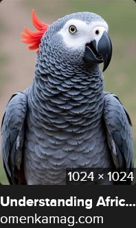 African grey parrot with a fake raised red crest.