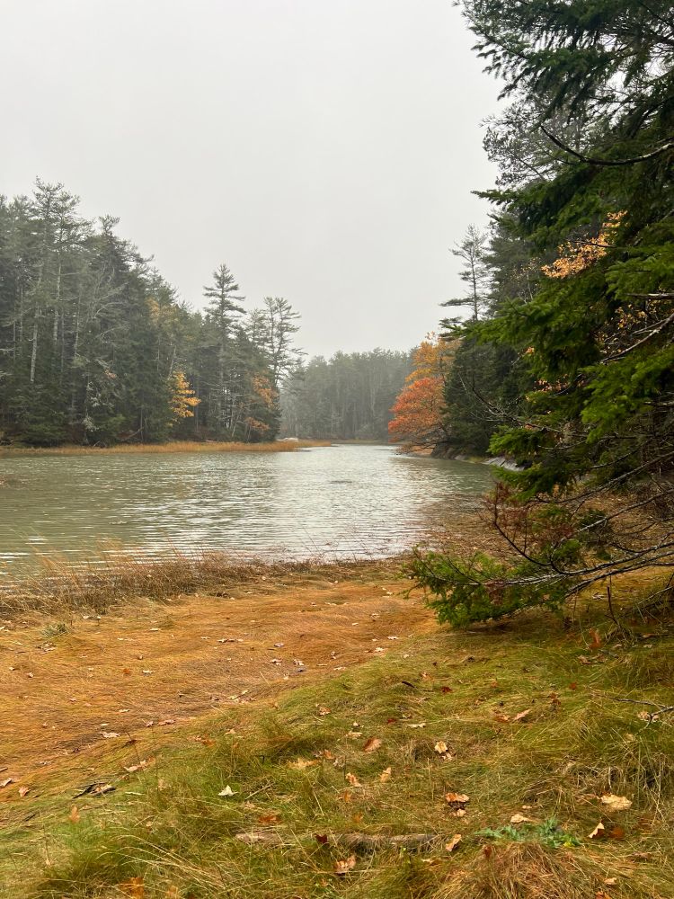 A body of water. On each side there are trees. Some have turned various shades of yellow and orange. The sky is an amber-grey. 