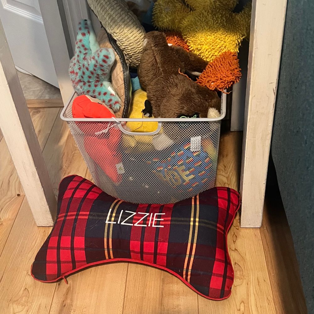 A box of dog toys under a small table. A toy plaid bone with Lizzie embroidered across it sits on the floor in front of the toys