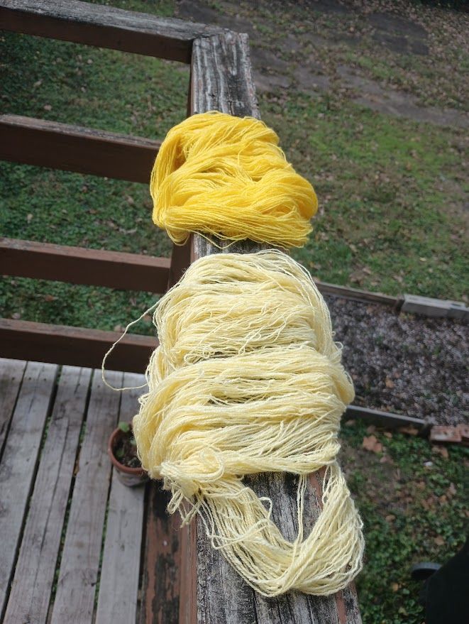 Two skeins of yellow yarn dry outside. One is a very bright vibrant yellow, the other a much paler butter yellow.
