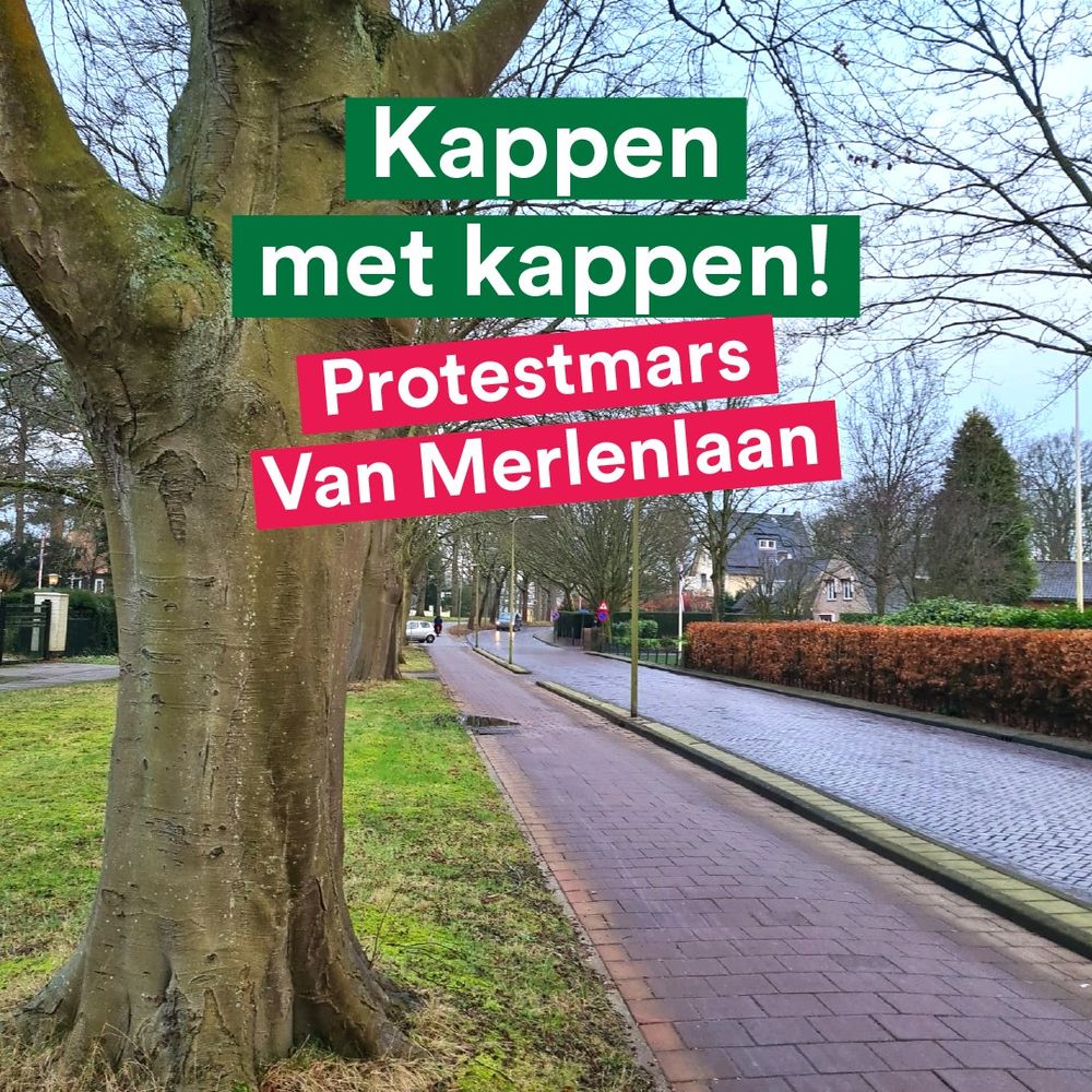 Weg en fietspad met daarnaast een rij grote eiken. Tekstbanner met 'Kappen met kappen: protestmars Van Merlenlaan'.
