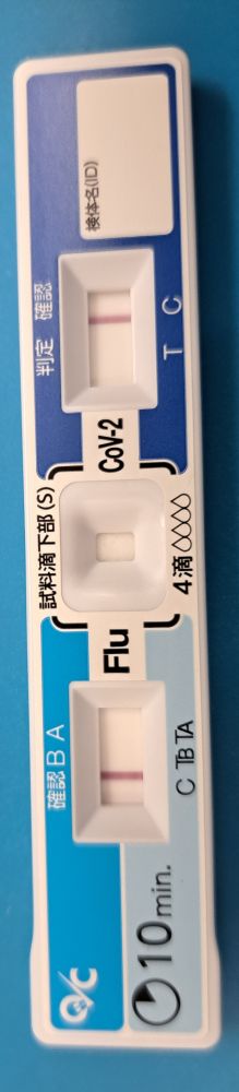 検査キット陰性