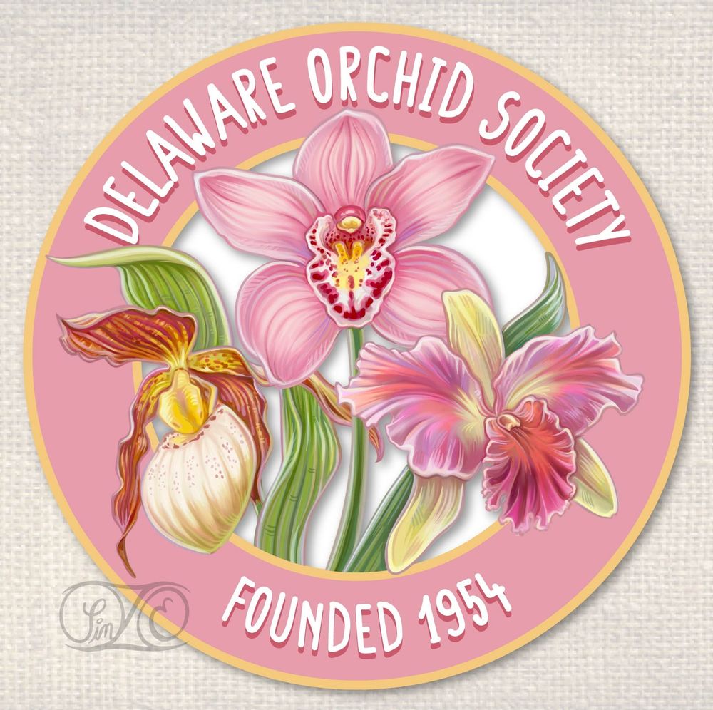 Fully rendered logo for the Delaware Orchid Society.
