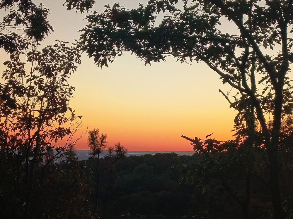 Der Sonnenuntergang von einer hohen Position, im Vordergrund des Bildes sind Baume als Rahmen 