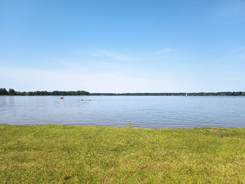 Grüne Wiese am Seeufer bei strahlend blauem Himmel. 