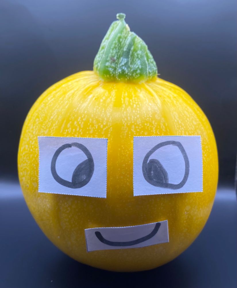 A round yellow courgette with a green spike which looks like a funky quiff . He has eyes and a mouth clearly drawn onto paper and inexpertly stuck on to make a face. Plain black background. 

