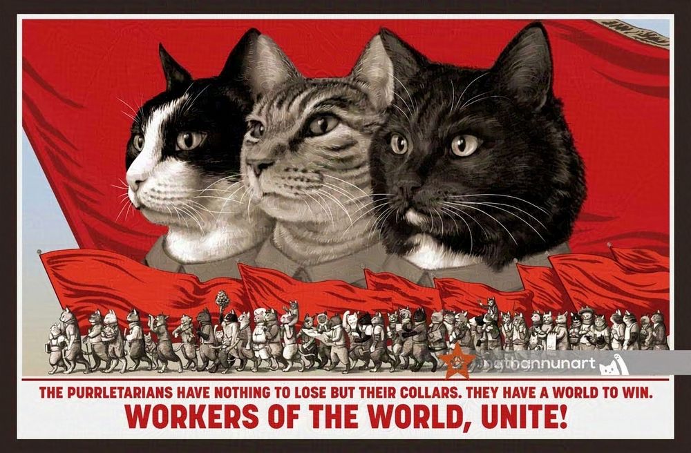 Kittiez of the world United in  demanding treat justice for their labors! 