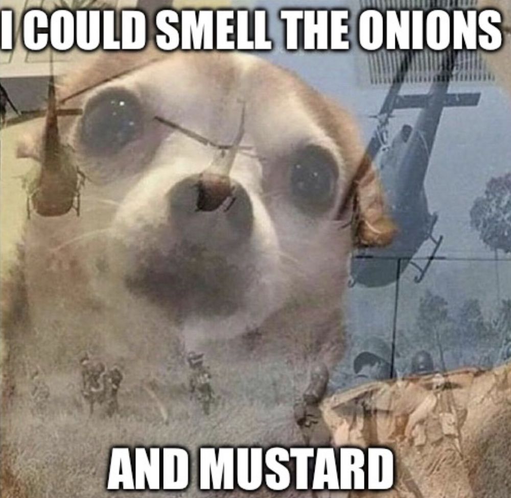 Small doggo staring into the middle distance. In the background there are helicopters and soldiers. Text says “I could smell the onions and mustard” 