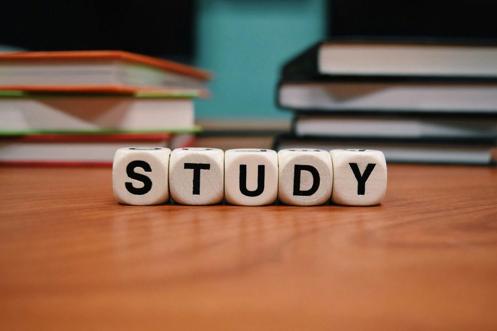 5 aligned dice, the word "STUDY" is written on them.  
