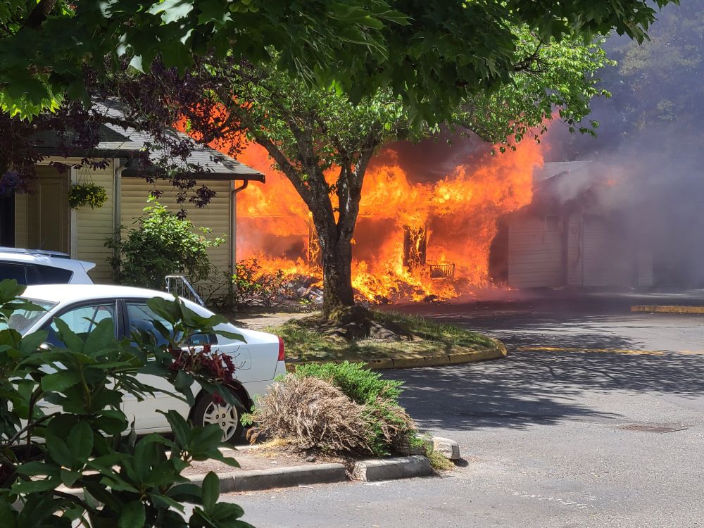 A fire started by some dipshit kid tossing a box of bullets into a dumpster and then setting it on fire.
