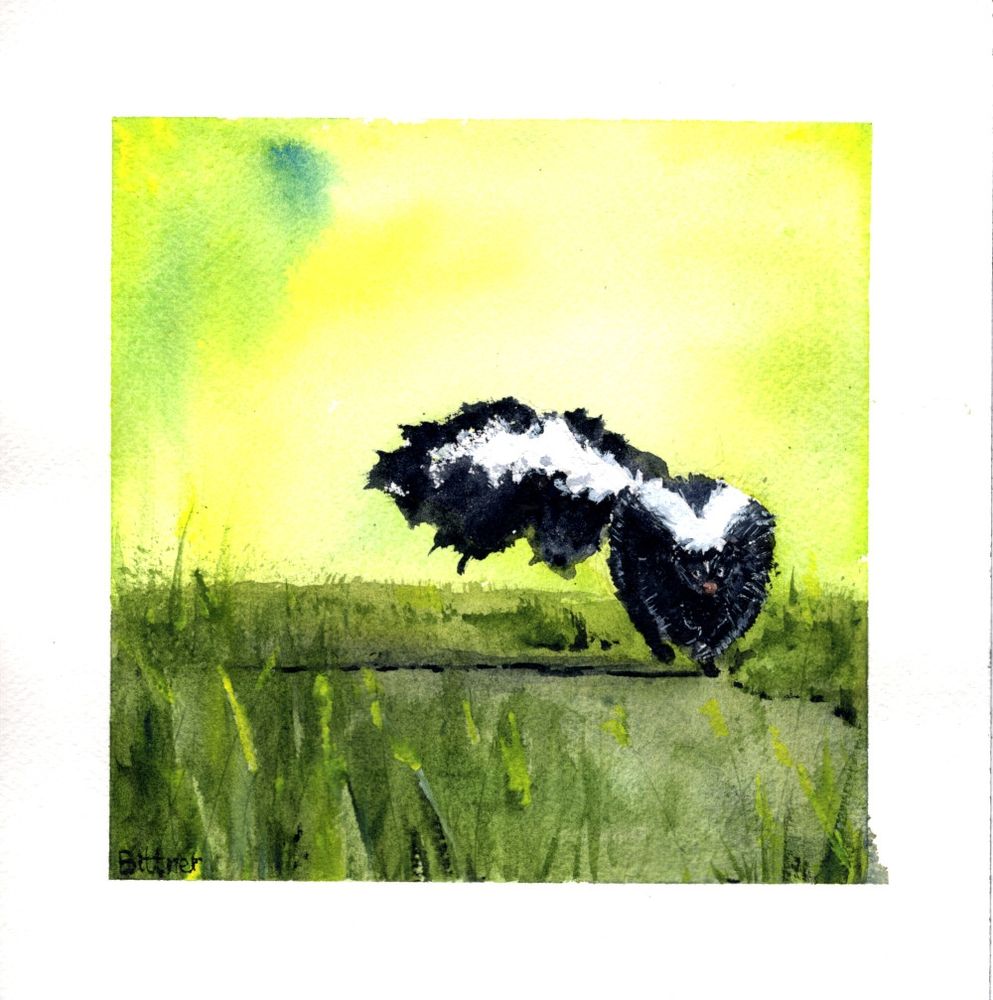 A black skunk with a majestic tail runs through the green spring grass. Watercolor.