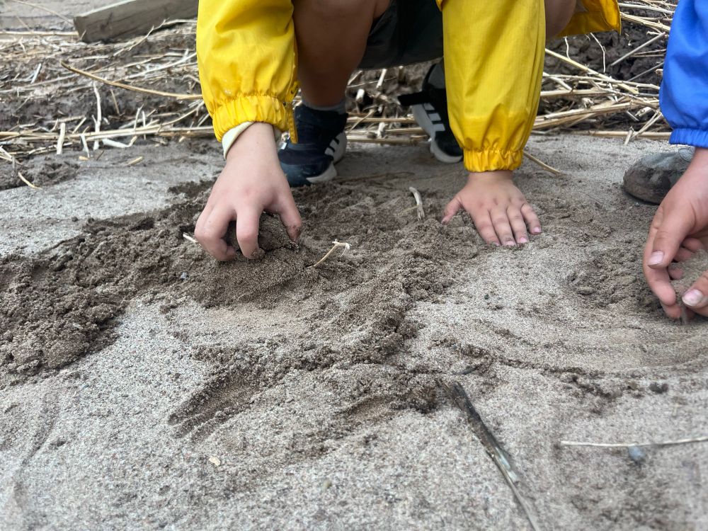 Little boy’s hands in dirt as he’s looking for frogs and building before a thunderstorm