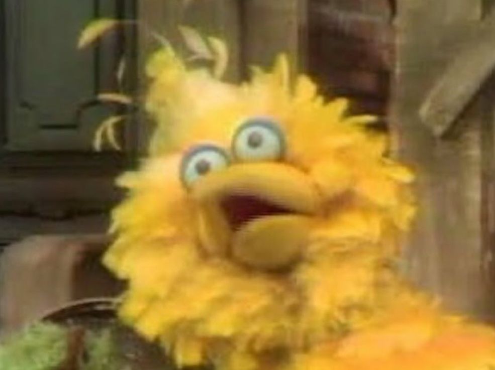 accurate picture of me watching the end of the severance season 2 finale. it's big bird looking like he's having a vietnam war flashback.