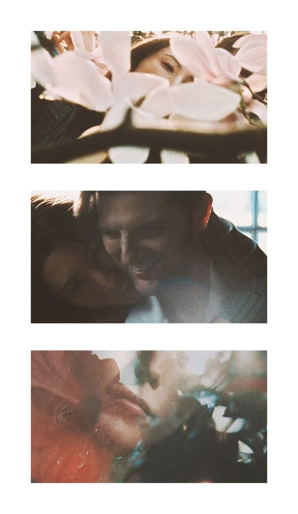 Screenshots from the TV show Severance, from season 2 episode 7, Chikhai Bardo. Three images stacked in a column. The top is Gemma's eyes through the petals of a pink magnolia tree. The middle image is Gemma hugging Mark from behind as he works in the kitchen. The third image is a transition between scenes - the image of a dewey red hibiscus is superimposed over the bottom half of Gemma's face. The images are all grainy as they are shot on film. Credit to cinematographer Jessica Lee Gagné, who made her directorial debut with this amazingly stunning, heartbreaking episode.