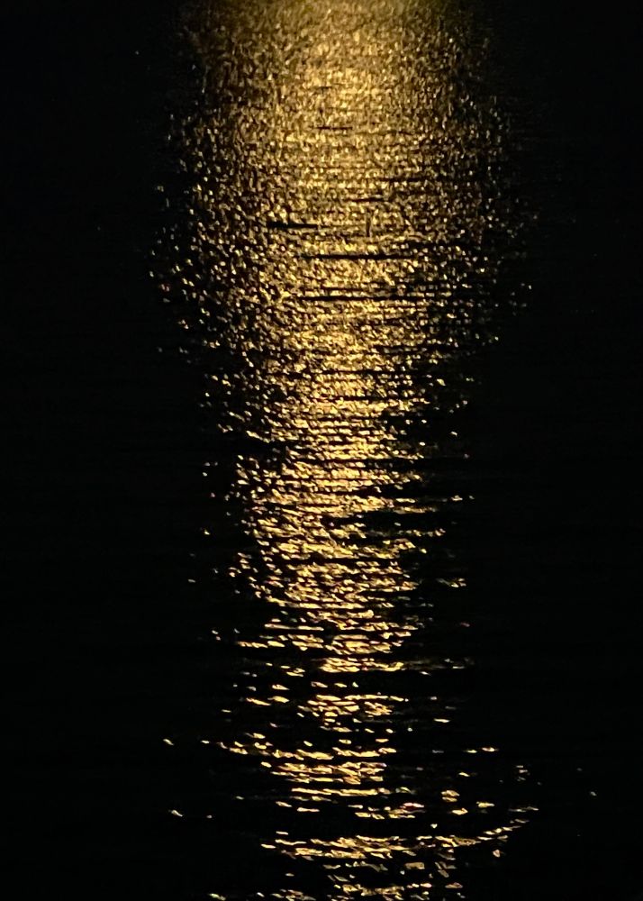 the path-light of the full moon on velvet black water glistens and whirls in corporeal splendor 