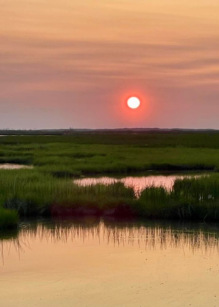 the sun ember glows in a still peach sky above still peach water held in endless velvet marsh