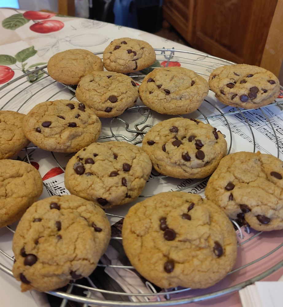 Une claie pleine de cookies sortis du four il y a une heure