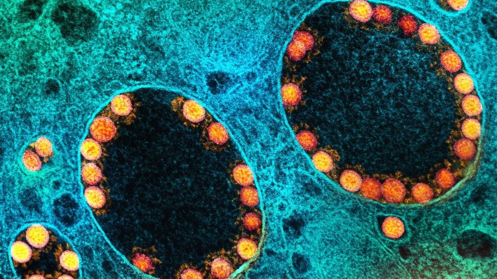 In mice, common respiratory infections reactivated dormant cancer cells. Early evidence suggests the same may happen in humans, with big implications for long-term cancer risk.