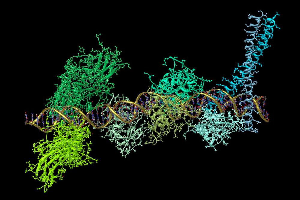 mRNA drugs might be able to protect against a huge range of viruses by turning on key parts of our innate defences against infection