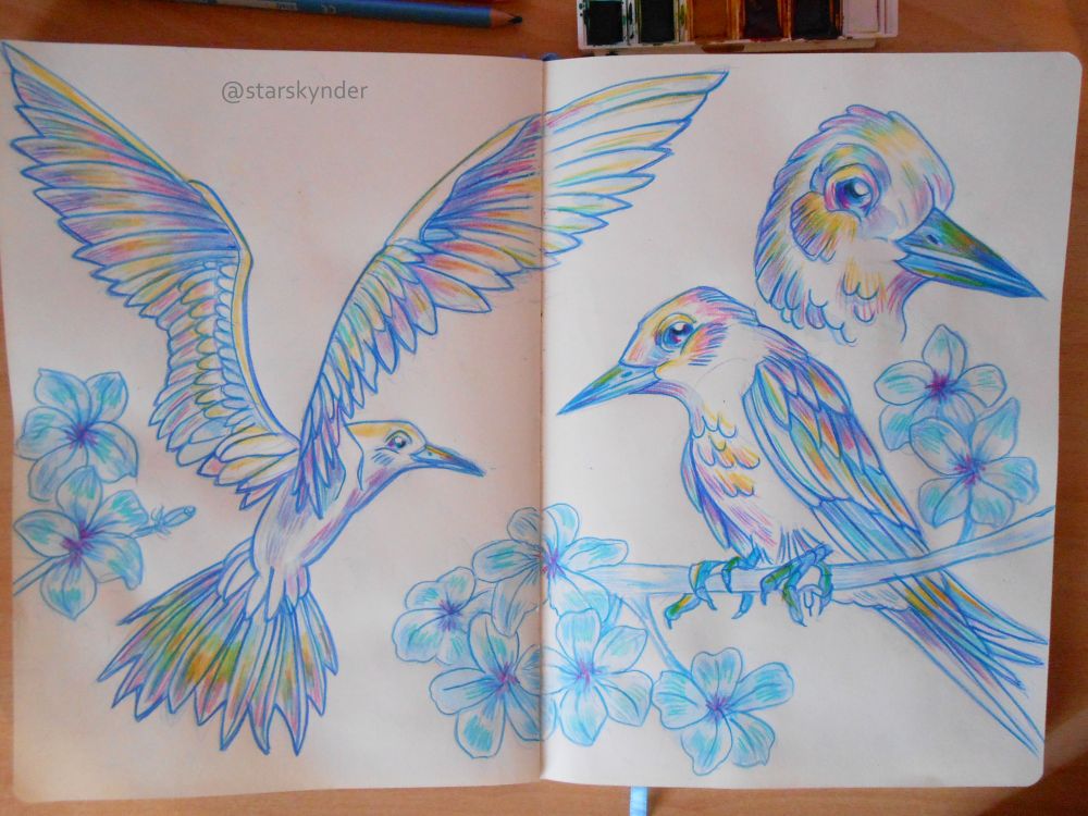 A watercolor and colored pencils drawing of a white tern in three poses: one full body flying pose, one full body pose standing on a branch and one headshot. The tern is surrounded by flowers.