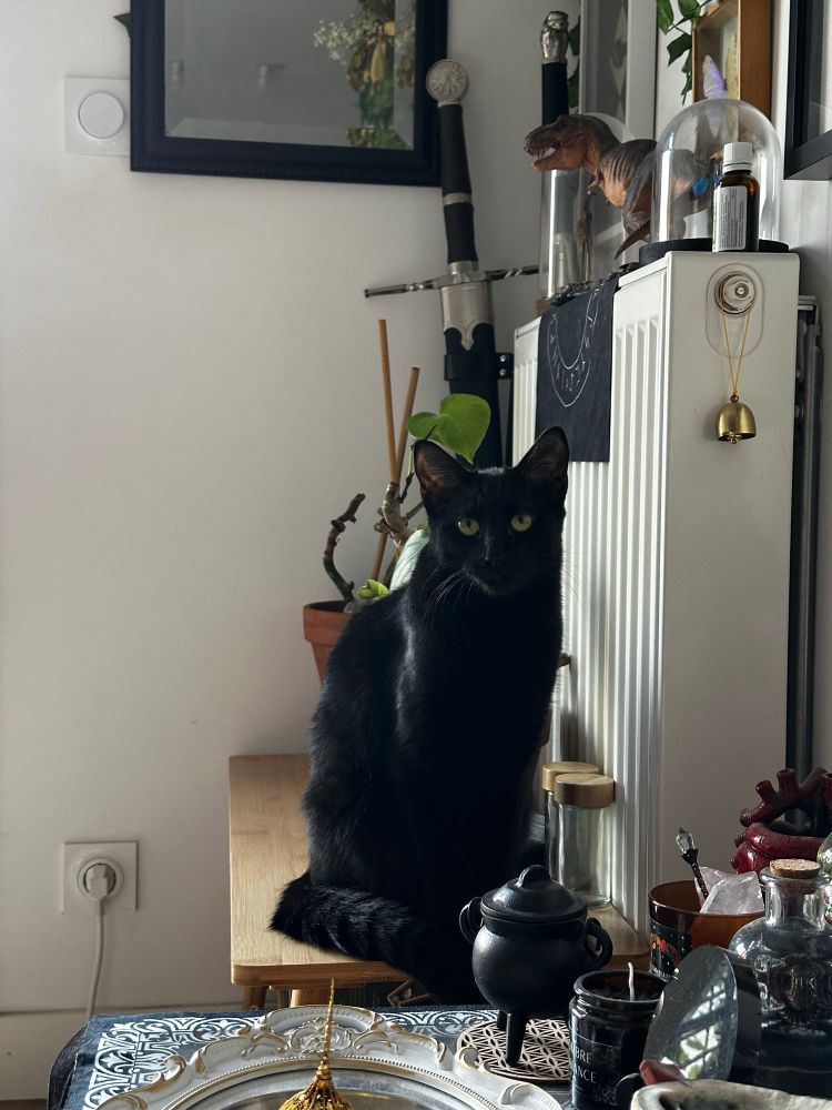 Hati posée à côté des plantes qui me juge.