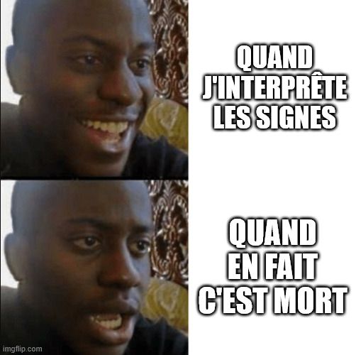 Meme du mec qui sourit, puis en dessous qui est choqué déçu.
Avec écrit :
Souriant : "quand j'interprête les signes"
Déçu : "quand en fait c'est mort" 