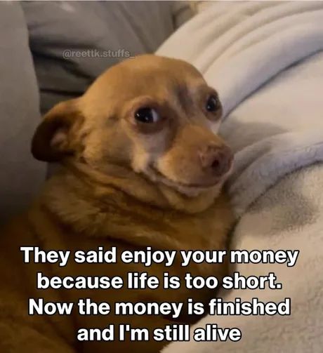 Voici la description de l'image :

Il s'agit d'un mème (meme) populaire.

L'image montre un petit chien de couleur marron clair (ressemblant à un chihuahua) assis sur une surface confortable, comme un canapé recouvert d'une couverture.

Le chien a une expression faciale très humaine et humoristique : ses yeux sont grands ouverts et il regarde légèrement sur le côté, la bouche fermée en un rictus qui ressemble à un sourire gêné, une grimace ou la réalisation soudaine d'une erreur.

Un texte en blanc est superposé sur la partie inférieure de l'image :

"They said enjoy your money
because life is too short.
Now the money is finished
and I'm still alive"

Ce qui se traduit en français par :

"Ils ont dit profite de ton argent
parce que la vie est trop courte.
Maintenant l'argent est fini
et je suis toujours en vie"

L'humour de l'image provient de la parfaite adéquation entre l'expression faciale du chien (qui semble dire "oups, j'ai fait une bêtise") et le texte qui décrit une situation financière précaire due à une mauvaise gestion de l'argent.
