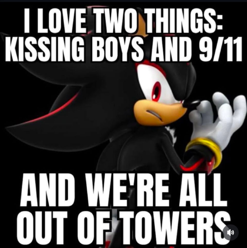 Shadow the hedgehog with a caption that reads "I love two things; kissing boys and 9/11         and we're all out of towers"