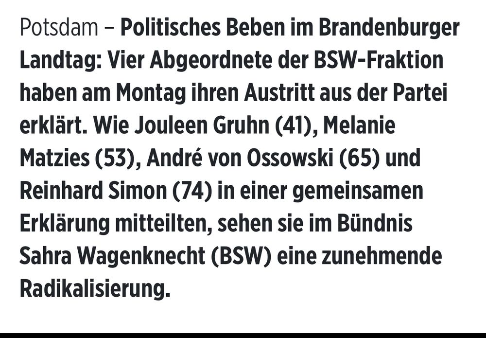 Jouleen Gruhn, Melanie Matzies, André von Ossowski und Reinhard Simon haben BSW verlassen Grund: Radikalisierung der Partei