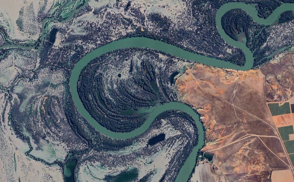 Google Earth pic: scroll plains on the Murray River, Australia. The grey alluvium of the river corridor contrasts  the rich red-brown of the surrounding country's regolith.