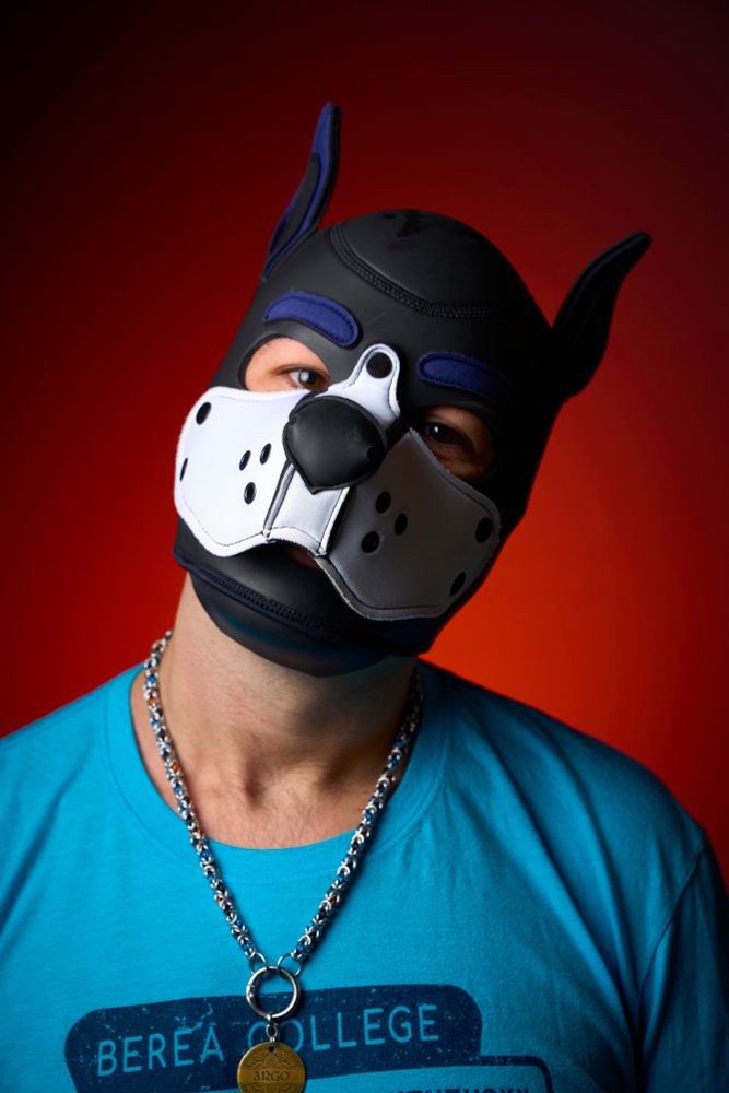 Headshot of me in my pup hood and collar and wearing an old college shirt. My head is tilted a little bit 