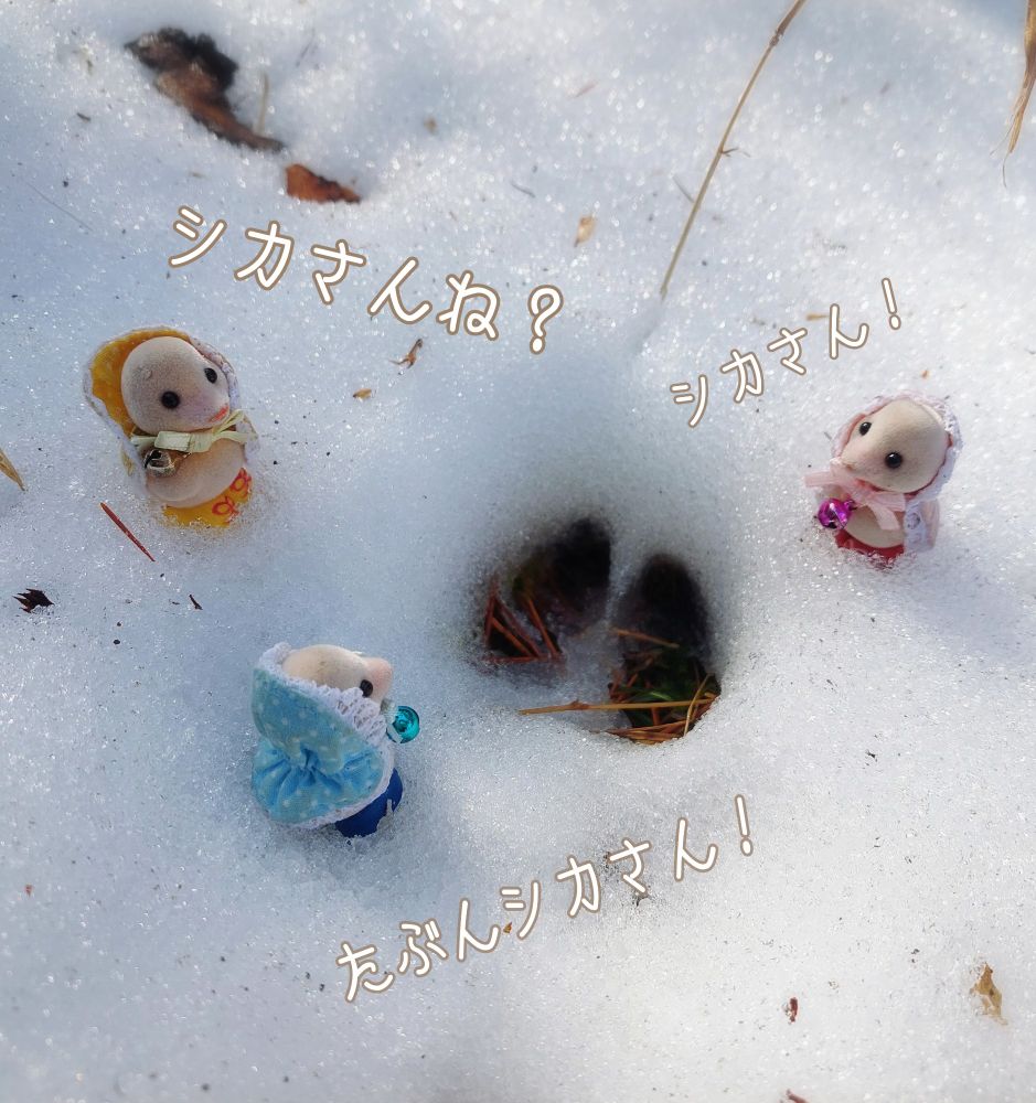 シルバニアファミリー