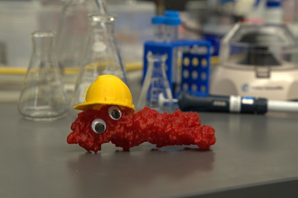 A 3D printed actin with googly eyes end a little yellow construction hat on its "head".