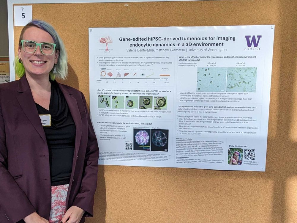 Valerie stands next to a poster with the title "Gene-edited hiPSC-derived lumenoids for imaging endocytic dynamics in a 3D environment.
