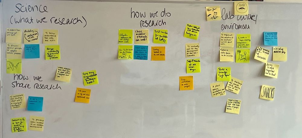 A white board with post-it notes organized in 4 categories: science (what we research), how we do research, lab culture/environment, and how we share research.