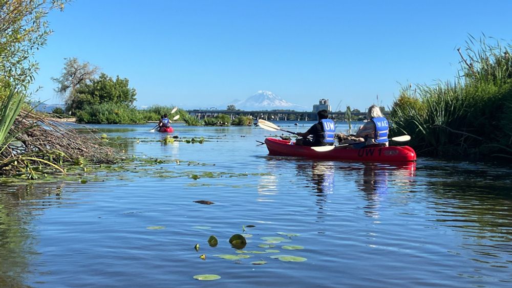 Members of the MatsuLab and Termini Lab kayaking in Union Bay with Mount Ranier in the background.