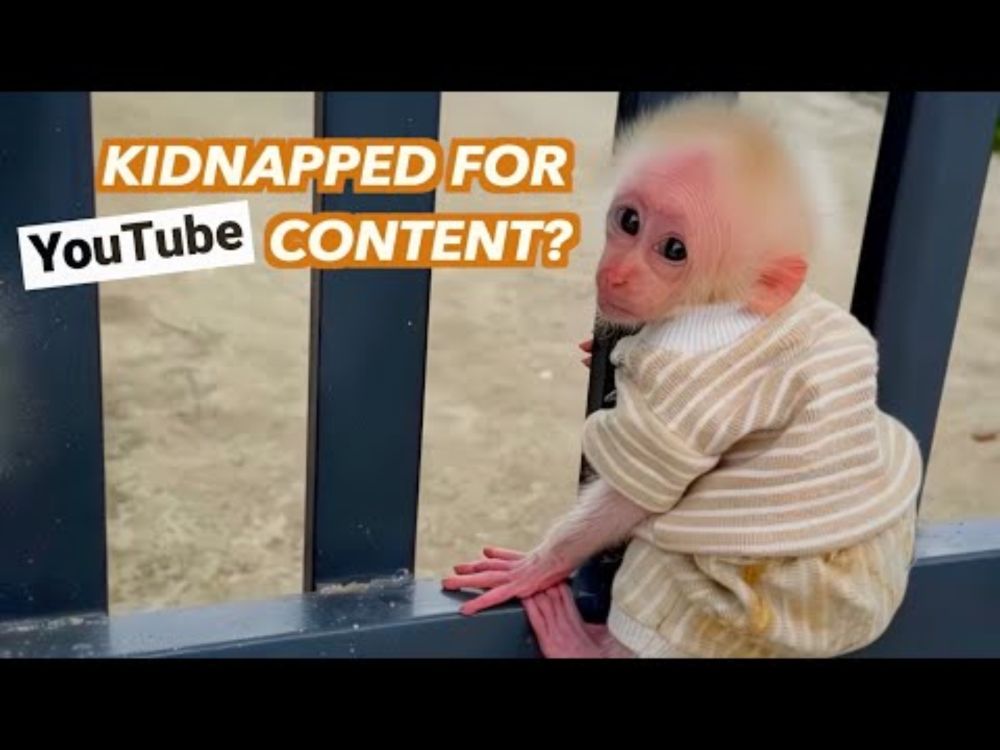KIDNAPPED FOR CONTENT?