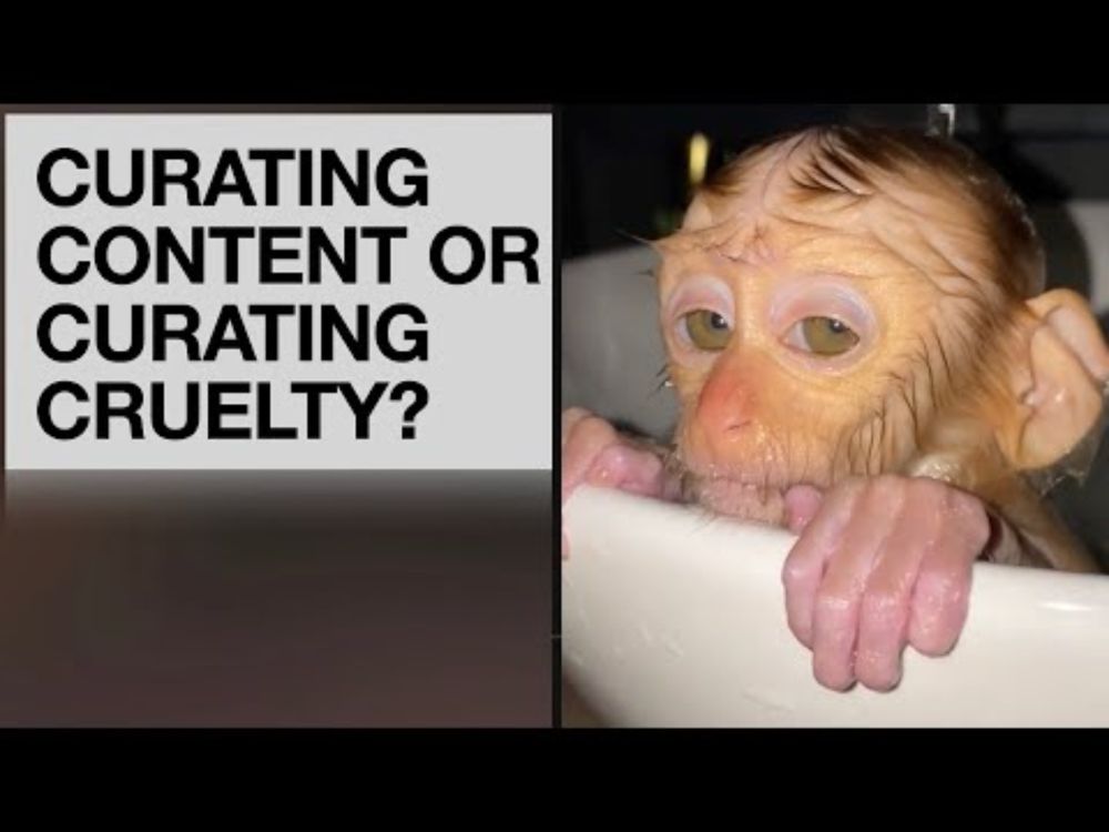 CURATING CONTENT ... OR CURATING CRUELTY ?