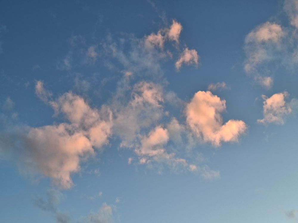 Wispy salmon clouds against a royal blue dusk sky