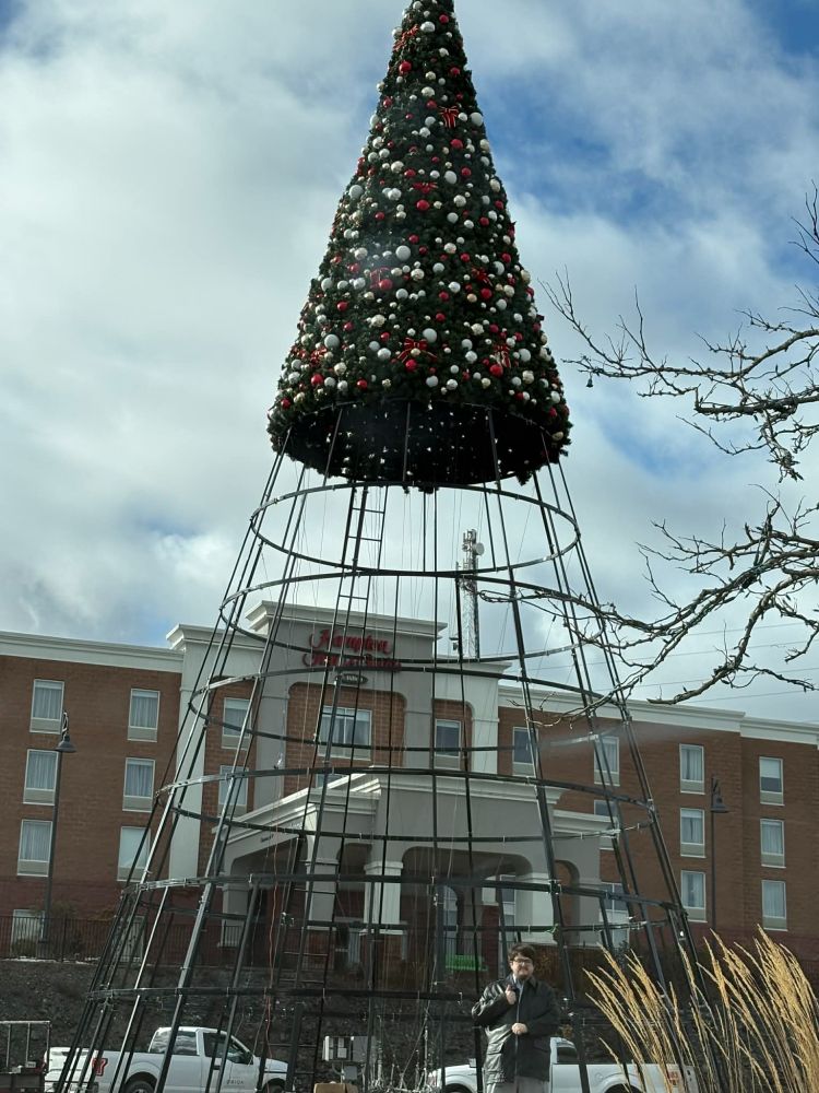 live rare sad small bean buy a unfinished tree for charismas
#Jordsmallbean4ever




don't tell them AJ, im very sad atm.