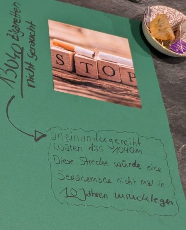 Das Bild zeigt ein handgemachtes Poster auf grünem Hintergrund. Darauf ist ein kleines Foto mit den Buchstaben "STOP" aus Holzklötzen zu sehen.  Neben dem Foto steht handschriftlich: "Aneinandergereiht waren das 1040m. Diese Strecke würde eine Seeanemone nicht mal in 10 Jahren zurücklegen." Rechts oben auf dem Poster ist mit einem Pfeil ein Zettel mit der Zahl "13040 Zigaretten nicht geraucht"