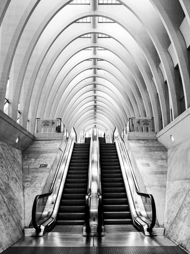 Ein schwarzweiß Foto mit Blick auf zwei Rolltreppen mit geraden Linien, die optisch ein fast-Dreieck bilden. Das Dach besteht auch elliptischen Bögen, dazwischen - kaum noch sichtbar - rechteckige Glasplatten und einer linienförmigen Verbindungsstange in der Mitte.