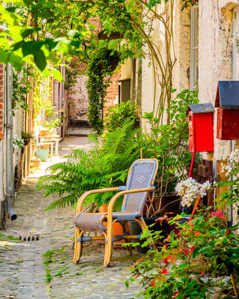 Ein stilvoll gewebter Stuhl steht in einer schmalen Gasse. Links und rechts daneben wachsen Pflanzen und Blumen. An den Fassaden hängen rote Nistkästchen.