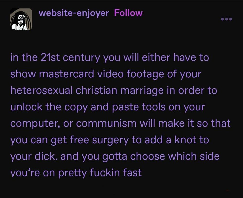 A Tumblr(?) post that reads "in the 21st century you will either have to show mastercard video footage of your heterosexual christian marriage in order to unlock the copy and paste tools on your computer, or communism will make it so that you can get free surgery to add a knot to your dick. and you gotta choose which side you're on pretty fuckin fast"
