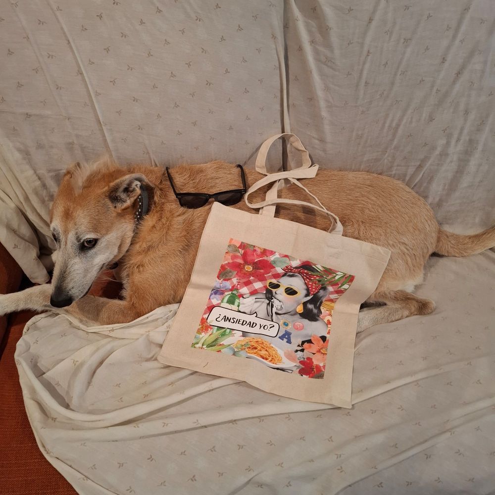 Perro Harpo tomada el 9/5/2025