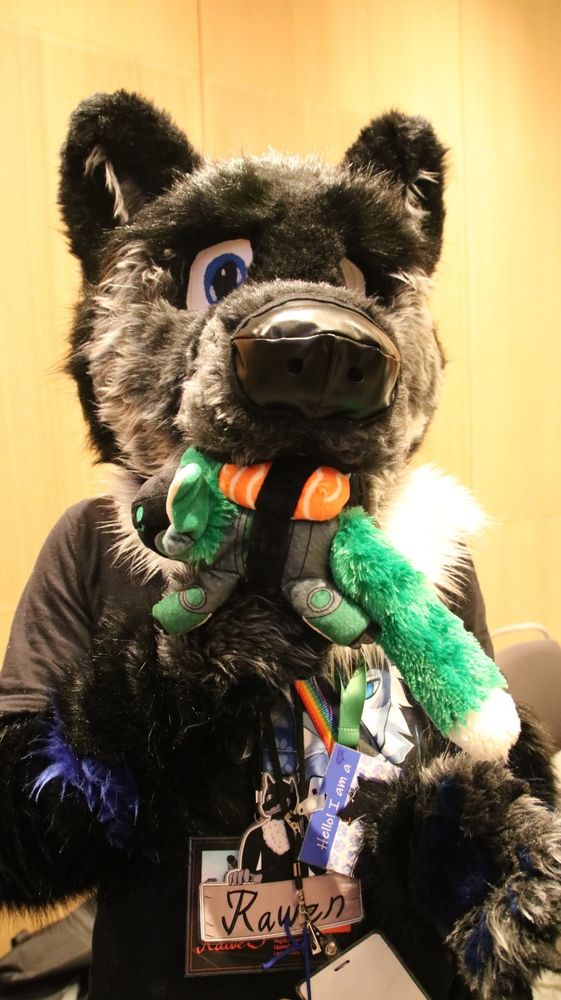 Picture of Rawen holding a green protobean plushie in his mouth. The plushie is wrapped on a piece of fabric resembling a nori seaweed with a plushie piece of salmon, making the bundle look like a piece of sushi.