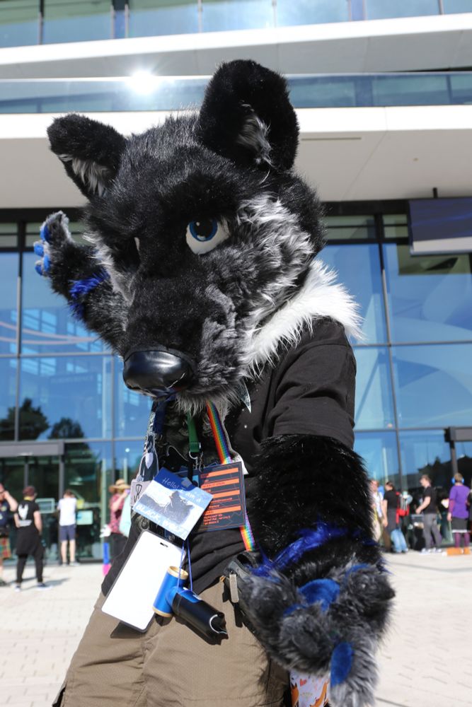 Picture of Rawen posing in front of the EF venue. He's offering to be the viewers guide around the con.