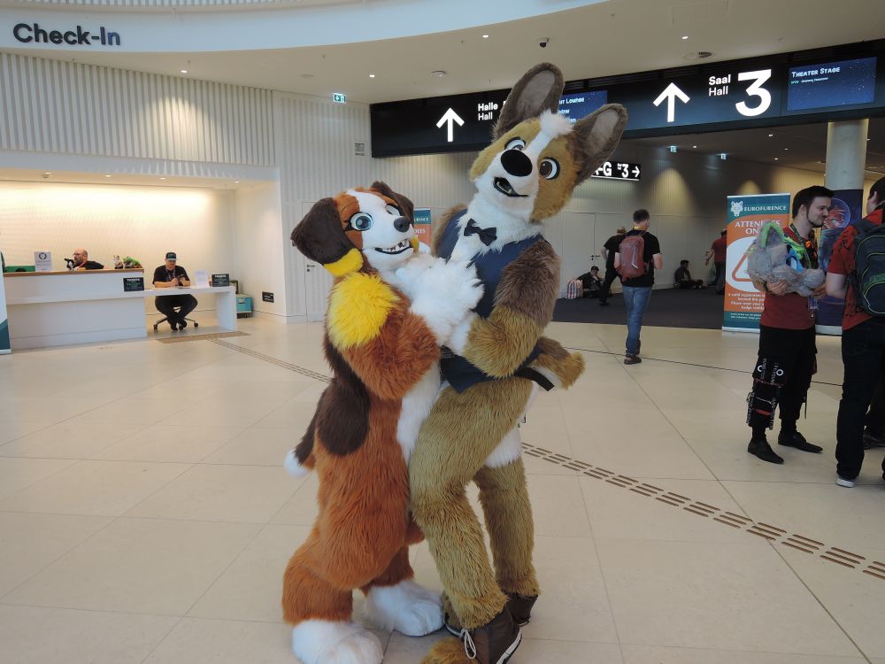 Picture of two dog suiters, beagle and corgi, inside the Hamburg CCH in a hugging pose.
