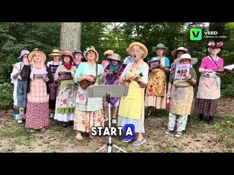 Freedom Under  Assault 