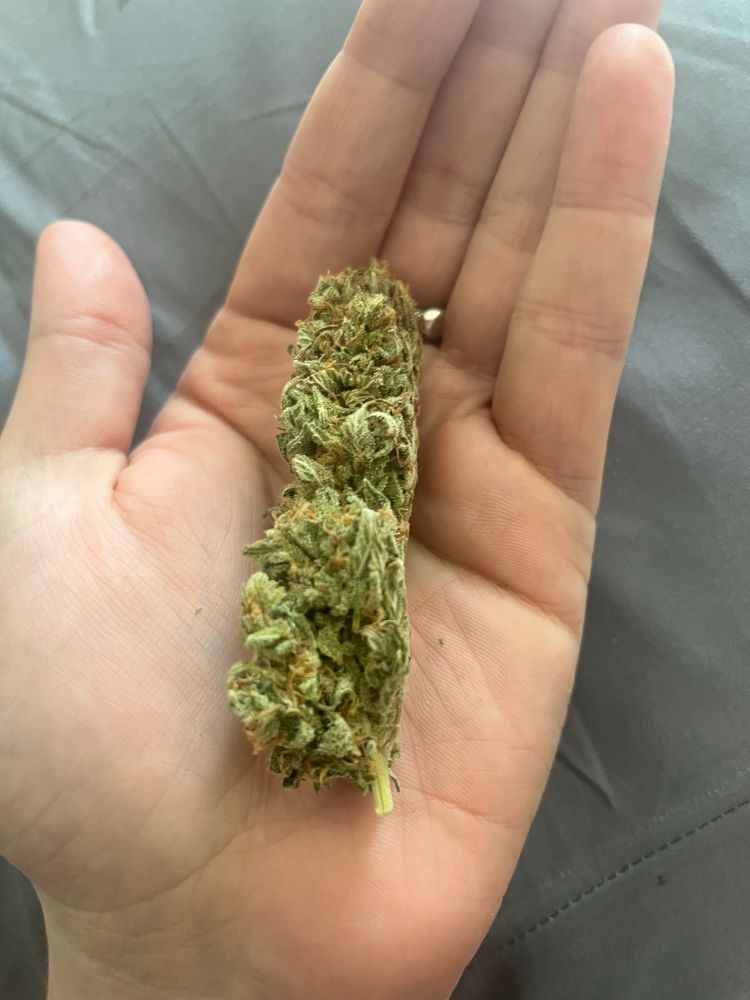 a nug the length of my palm